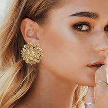 Load image into Gallery viewer, Alloy stud Earrings