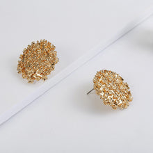 Load image into Gallery viewer, Alloy stud Earrings